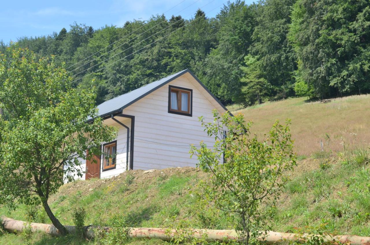 Domek Zacisze Gor Slonnych Tyrawa Woloska Exterior photo